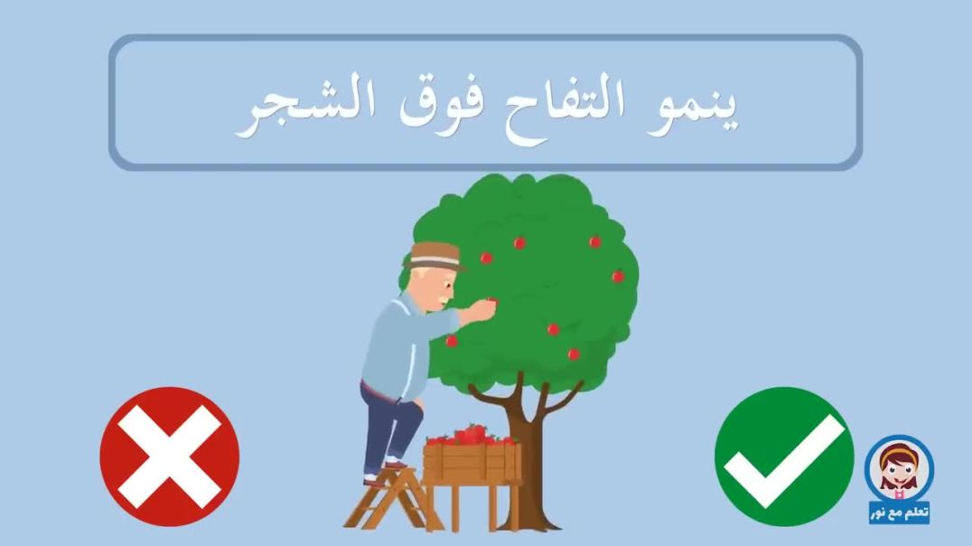 لعبة الصح او الخطأ  لعبة تعليمية ممتعة و مسلية للاطفال  العاب اطفال  تعلم مع نور