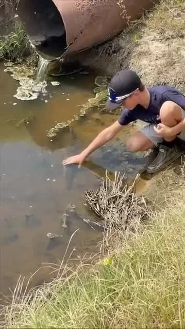 Country boys  fishing